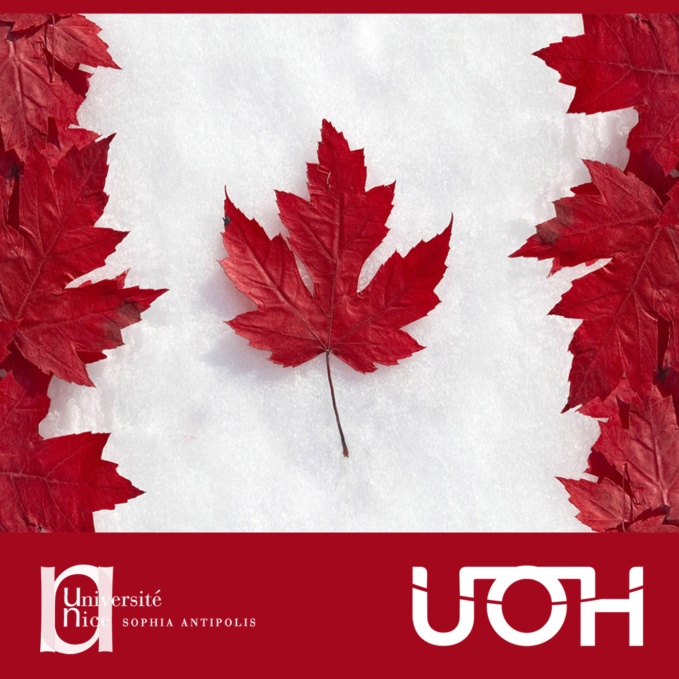 La nordicité - question 1 : How important is the Land in Canadian identity? La nordicité - question 1 : How important is the Land in Canadian identity?